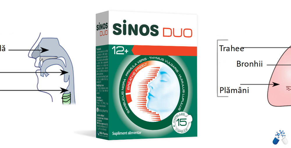 sinos duo 1